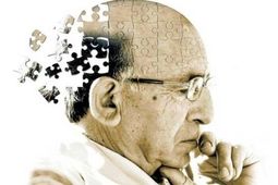 چطور «آلودگی هوا» مغز را دچار «پیری زودرس» می‌کند؟