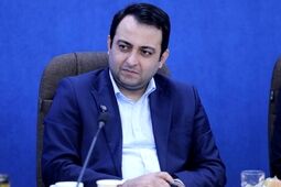 
محسن سیفی کفشگری سرپرست بانک ملی ایران شد