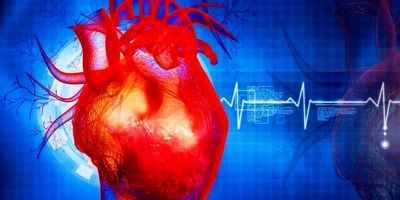 چند تخم مرغ در هفته برای سالمندان مجاز است؟