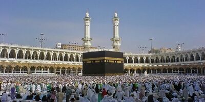 ۱۴۵۰ زائر بالای ۸۰ سال در حج ۱۴۰۳ 