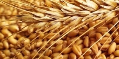 ۸۲ کشور دنیا دچار مشکل تأمین غذا شدند