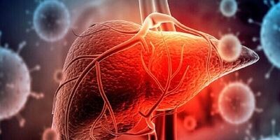 بیماری های کبدی سلامت قلب را به خطر می اندازند