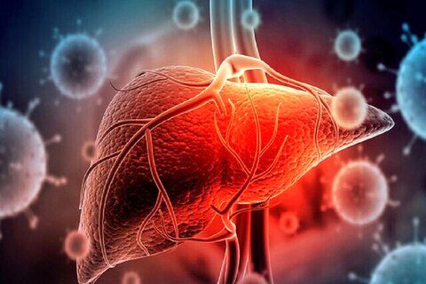 بیماری های کبدی سلامت قلب را به خطر می اندازند
