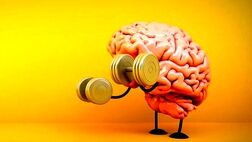 چه فعالیت‌هایی مغز را تقویت می‌کنند؟