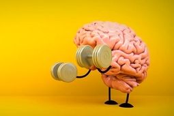 چه فعالیت‌هایی مغز را تقویت می‌کنند؟