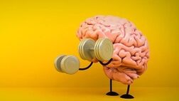 چه فعالیت‌هایی مغز را تقویت می‌کنند؟