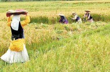 چه کسانی  در صندوق بیمه اجتماعی روستاییان بیمه می شوند؟
