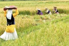 چه کسانی  در صندوق بیمه اجتماعی روستاییان بیمه می شوند؟
