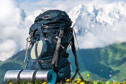 از خوش‌گردی تا دورگردی
