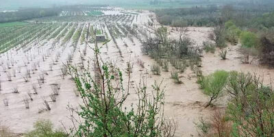 خسارت دو هزار میلیارد تومانی حوادث به بخش کشاورزی