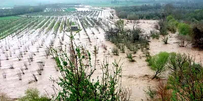 خسارت دو هزار میلیارد تومانی حوادث به بخش کشاورزی