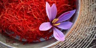 قاچاق سالانه ۹۰ تن زعفران از کشور