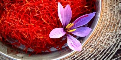 قاچاق سالانه ۹۰ تن زعفران از کشور