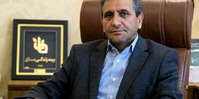 شرکت های غیردولتی با نگاه دولتی اداره می شوند