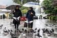
آغاز بارش‌های پائیزی در برخی مناطق کشور
