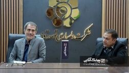 سرمایه اندک شرکت های لیزینگ مانع از انجام فعالیت های کنسرسیومی و سندیکایی شده است