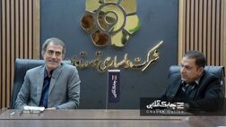 سرمایه اندک شرکت های لیزینگ مانع از انجام فعالیت های کنسرسیومی و سندیکایی شده است