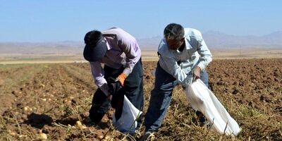 بیمه خسارت ۱۸میلیارد ریال کشاورزان تیران و کرون را پرداخت کرد