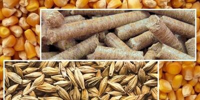 شرکت‌های بیمه خسارت واردکنندگان نهاده های دامی را کامل پرداخت نمی‌کنند