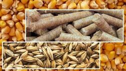 شرکت‌های بیمه خسارت واردکنندگان نهاده های دامی را کامل پرداخت نمی‌کنند