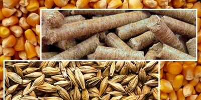 شرکت‌های بیمه خسارت واردکنندگان نهاده های دامی را کامل پرداخت نمی‌کنند