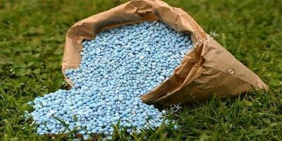 تامین ۳ میلیون تن کود برای سال زراعی جدید
