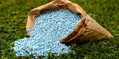 تامین ۳ میلیون تن کود برای سال زراعی جدید