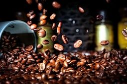  ثبت سفارش واردات قهوه و کاکائو از هفته آینده آغاز می‌شود 
