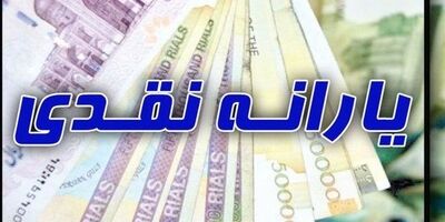 یارانه کمک معیشتی دولت به حساب سرپرستان خانوار واریز شد