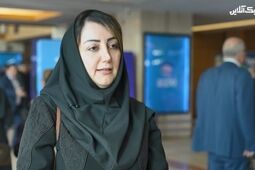 بازار بیمه نامه آتش سوزی و حوادث طبیعی برای شرکت های بیمه ای  بسیار بکر است + فیلم