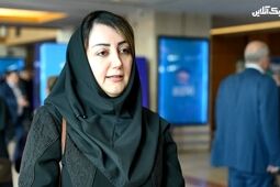 بازار بیمه نامه آتش سوزی و حوادث طبیعی برای شرکت های بیمه ای  بسیار بکر است + فیلم