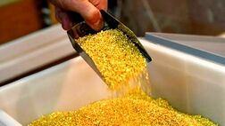 طلای جهانی با دلار همراه نشد!
