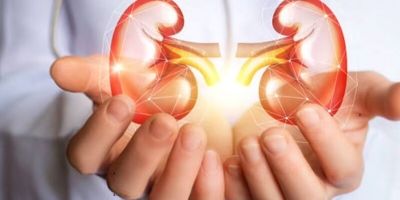سنگ کلیه و علت تشکیل آن چیست ؟