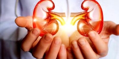 میوه تابستانی که کلسیم بیشتری از شیر دارد 