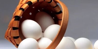 قیمت هر شانه تخم مرغ به ۲۵۰ هزارتومان رسید