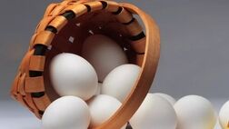 کاهش ۵۰ درصدی قیمت تخم مرغ