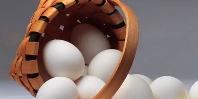قیمت هرشانه تخم مرغ برای مصرف کننده ۱۷۰ هزارتومان