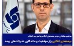 بیمه‌های اتکایی راز موفقیت و ماندگاری شرکت‌های بیمه
