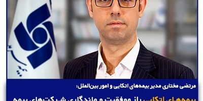 بیمه‌های اتکایی راز موفقیت و ماندگاری شرکت‌های بیمه
