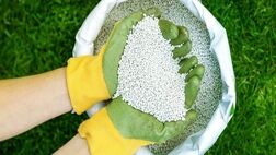 ایران صادرکننده کود می‌شود