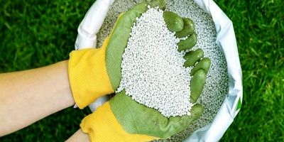 نرخ‌ جدید کودهای شیمیایی برای سال ۱۴۰۵ اعلام شد 