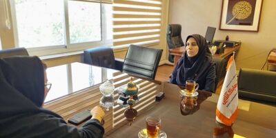 شرکت‌هایی که به تازگی مجوز قبولی اتکایی دریافت کرده اند اشتهای زیادی در پذیرش ریسک دارند