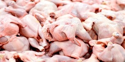 قیمت کنونی هر کیلو مرغ گرم ۵۹ هزار و ۸۰۰ تومان است