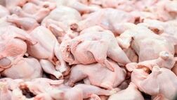 قیمت کنونی هر کیلو مرغ گرم ۵۹ هزار و ۸۰۰ تومان است