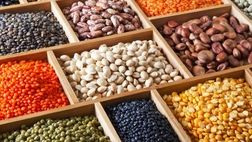 قیمت جهانی حبوبات افزایش چندانی نداشته