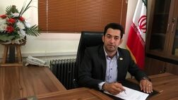 نیمی از باغداران زیتون فقط متقاضی بیمه هستند/ صندوق بیمه کشاورزی تعهدات خود را به درستی انجام نمی‌دهد