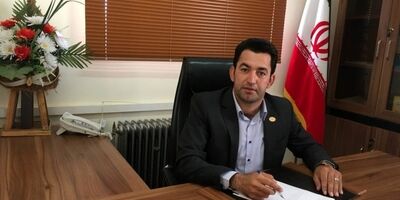 نیمی از باغداران زیتون فقط متقاضی بیمه هستند/ صندوق بیمه کشاورزی تعهدات خود را به درستی انجام نمی‌دهد