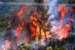 عامل انسانی در وقوع آتش‌سوزی‌ها قطعی است
