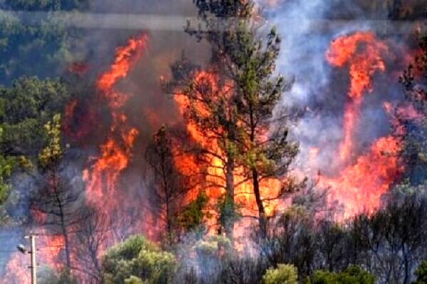 عامل انسانی در وقوع آتش‌سوزی‌ها قطعی است
