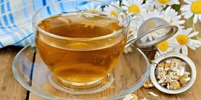 سرخارگل؛ یک گیاه زمستانی تمام عیار
